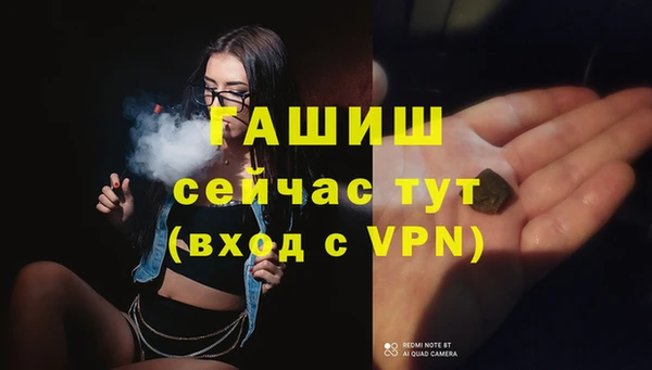 mdpv Бородино