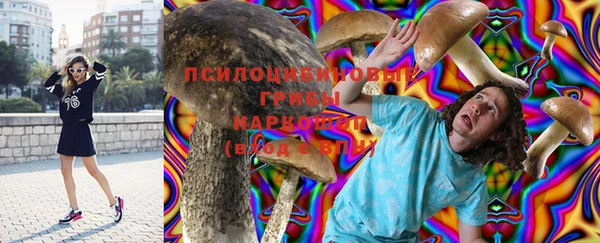 mdpv Бородино