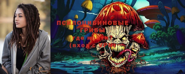 mdpv Бородино
