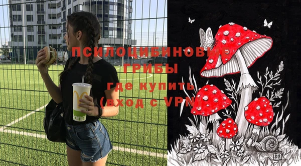 mdpv Верея