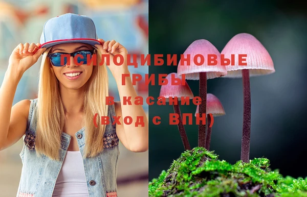 герыч Бронницы