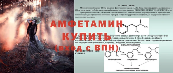 mdpv Бородино